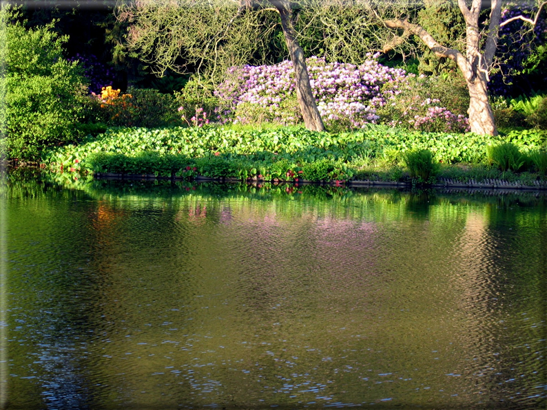 foto Parco Karlsaue in Estate